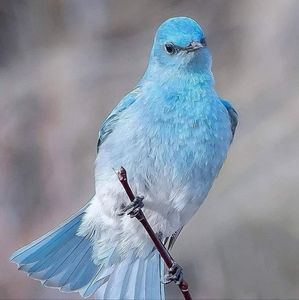 Meet your Posher, Jeri